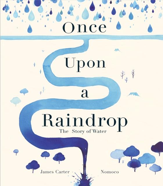 Once Upon a Raindrop : The Story of Water