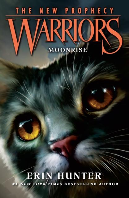 MOONRISE : Book 2