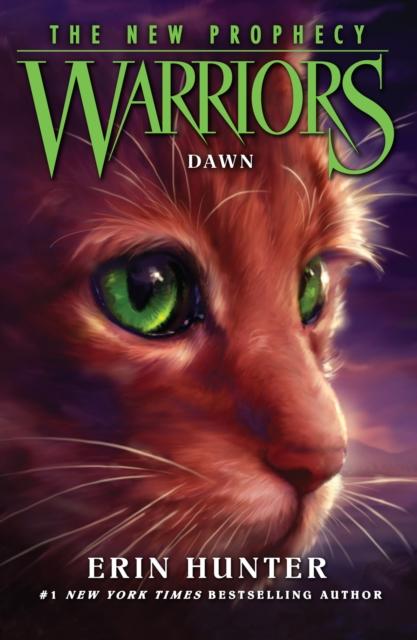 DAWN : Book 3
