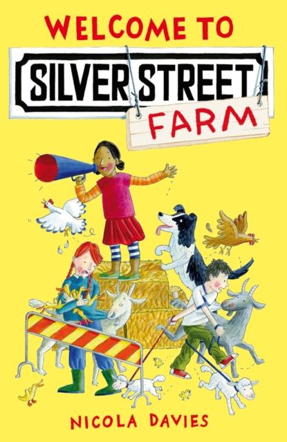 WELCOME TO SILVER STREET FARM