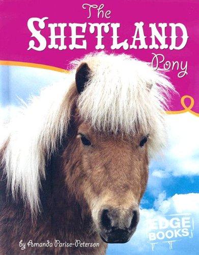 SHETLAND PONY