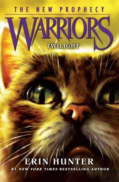 TWILIGHT : Book 5