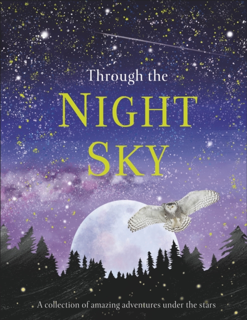Through the Night Sky 