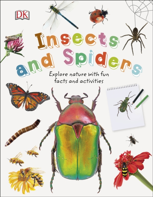 Insects and Spiders 