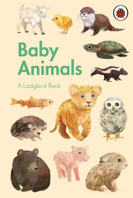 A Ladybird Book: Baby Animals