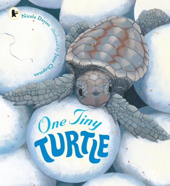 ONE TINY TURTLE