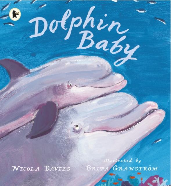 DOLPHIN BABY