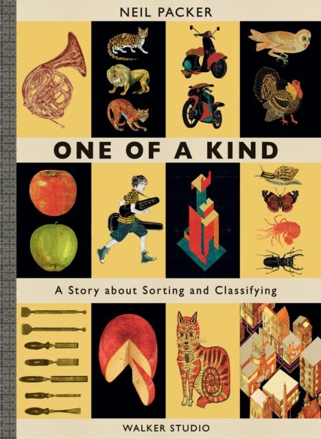 One of a Kind : A Story About Sorting and Classifying