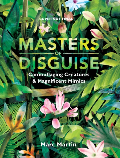 Masters of Disguise