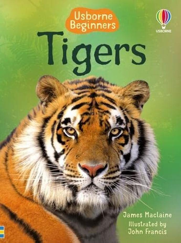BEGINNERS TIGERS