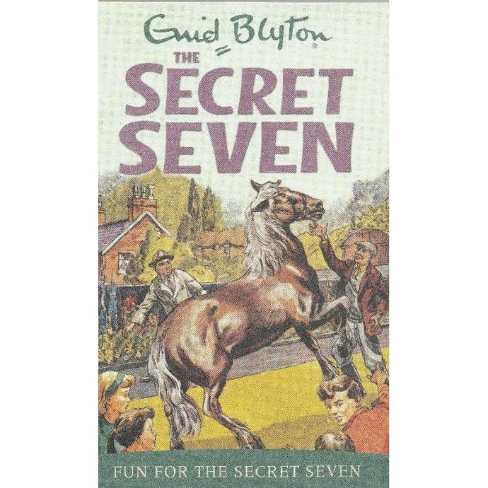 Enid Blyton Secret Seven 16 Books - 16