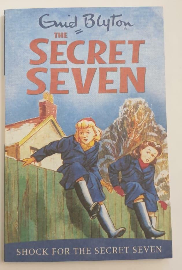 Enid Blyton Secret Seven 16 Books - 14