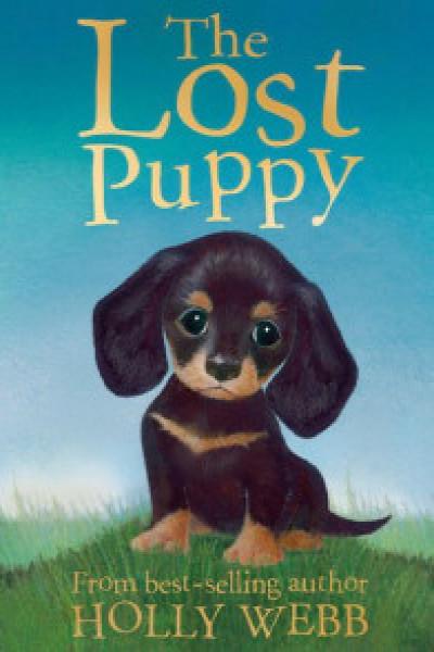 Holly Webb Series 2 - Animal Stories, Pet Rescue Adventure 10 Books  - 6