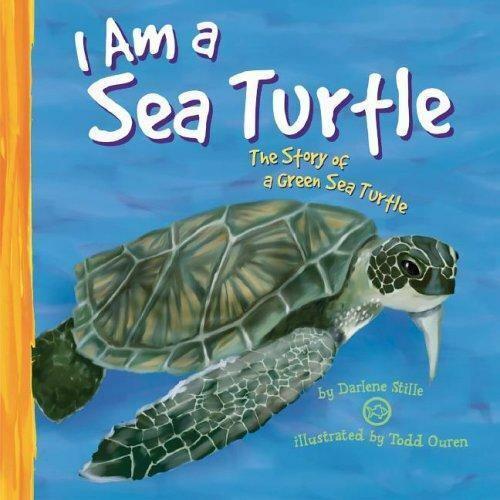 I AM A SEA TURTLE