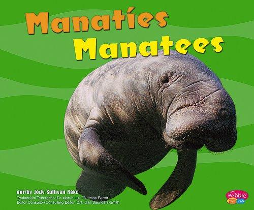 Manaties/Manatees (Pebble Plus Bilingual: Bajo las Olas/ Under the Sea)
