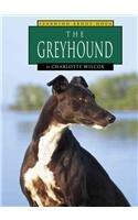 The Greyhound