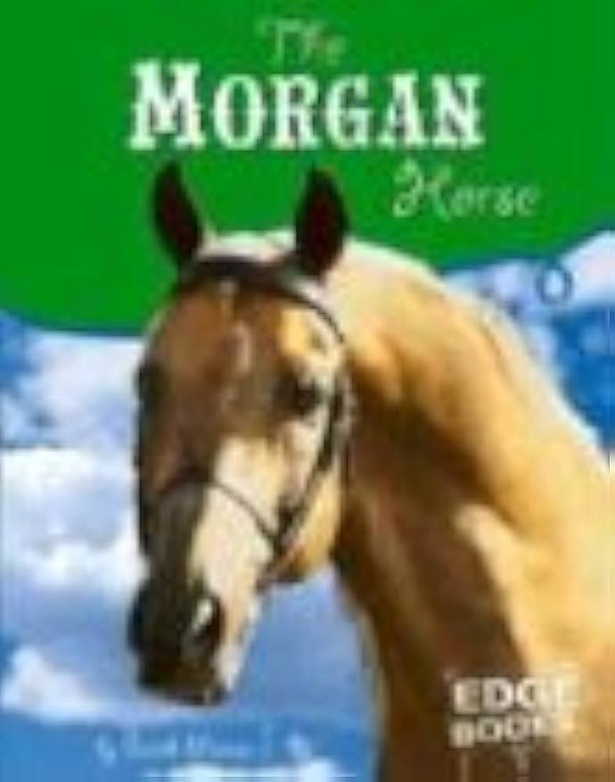 MORGAN HORSE