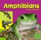 AMPHIBIANS