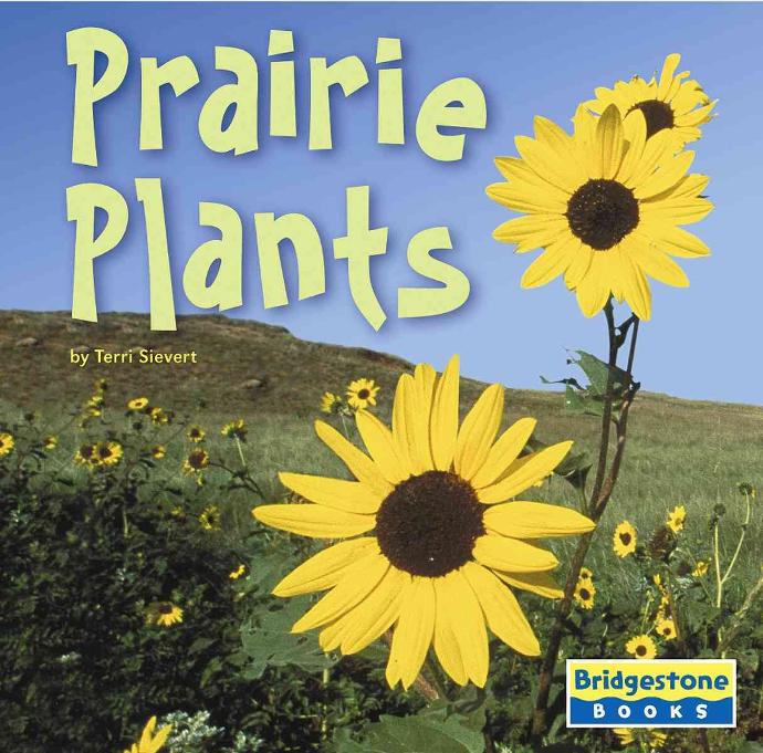PRAIRIE PLANTS