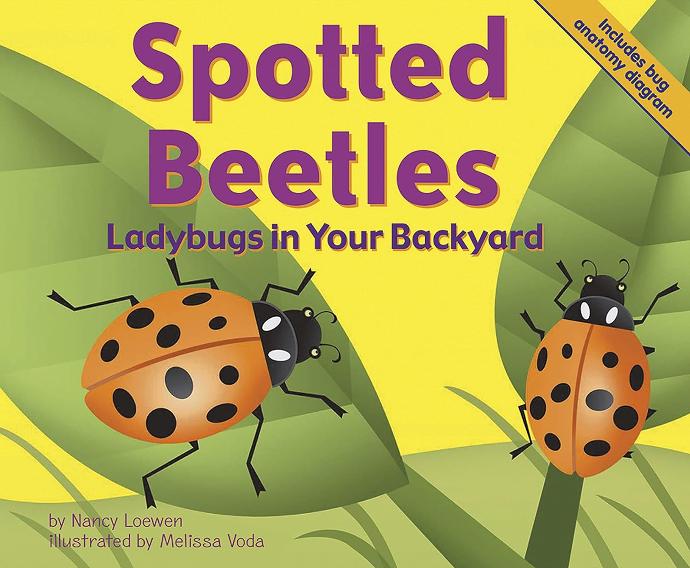 SPOTTED BEETLES