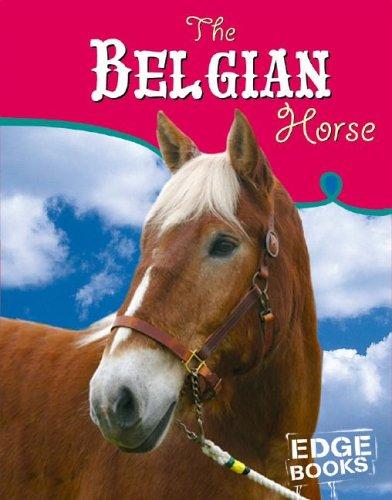 BELGIAN HORSE