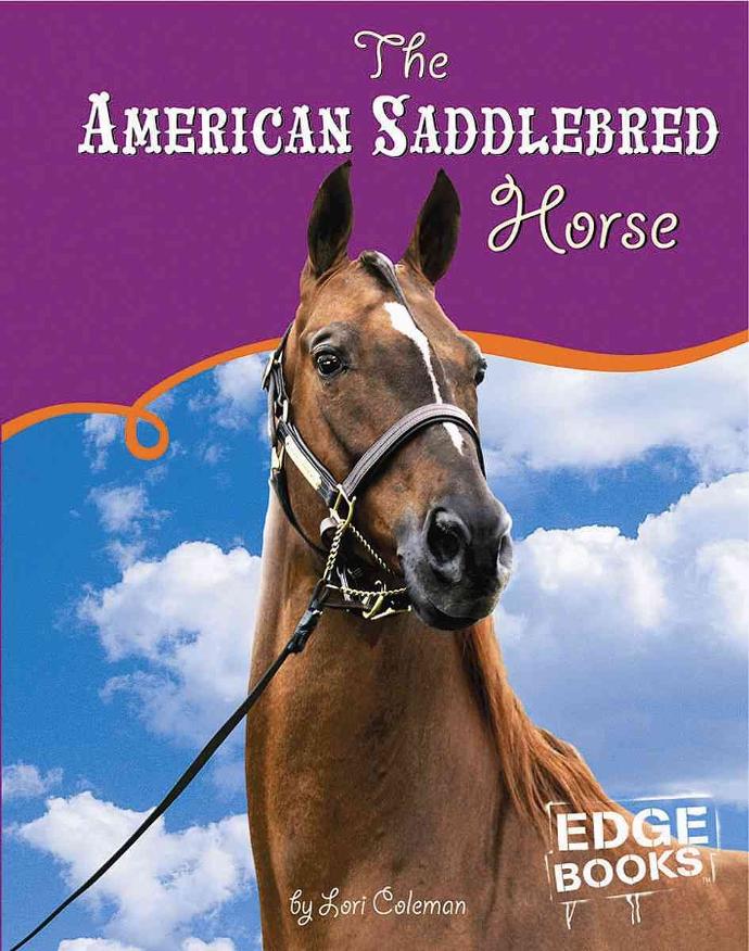 AMERICAN SADDLEBRED HORSE