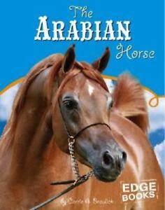 ARABIAN HORSE