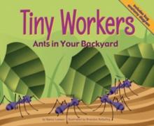 TINY WORKERS