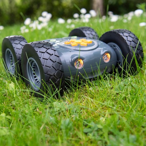 Rugged Robot Single