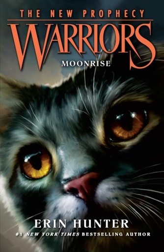 MOONRISE : Book 2