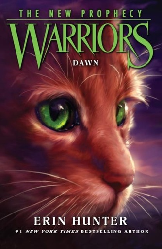 DAWN : Book 3