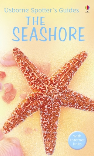 The Seashore