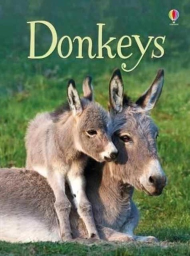 DONKEYS