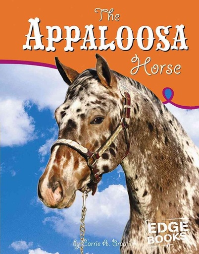 APPALOOSA HORSE
