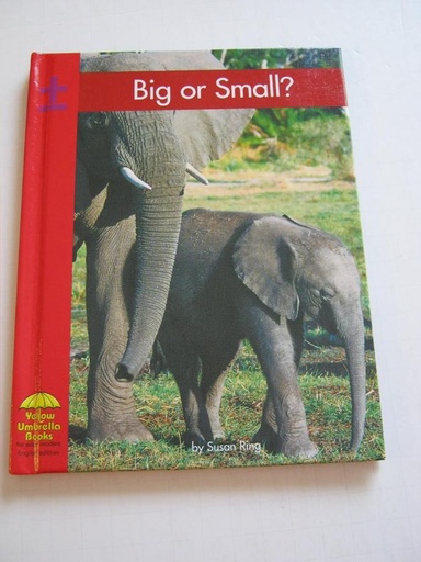 BIG OR SMALL?