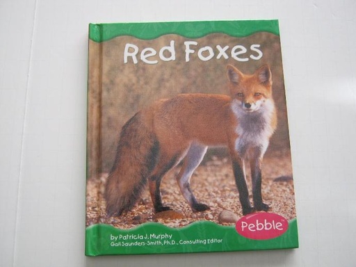 RED FOXES