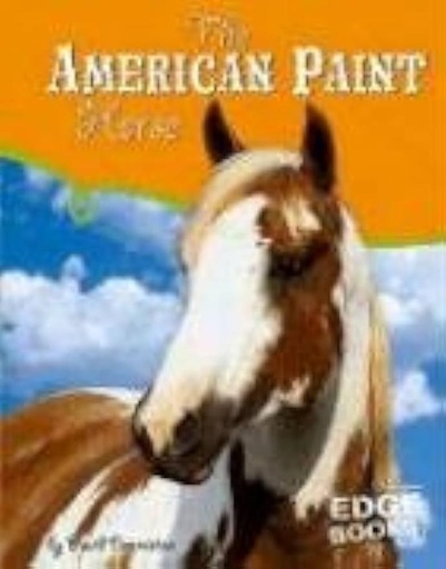 AMERICAN PAINT HORSE